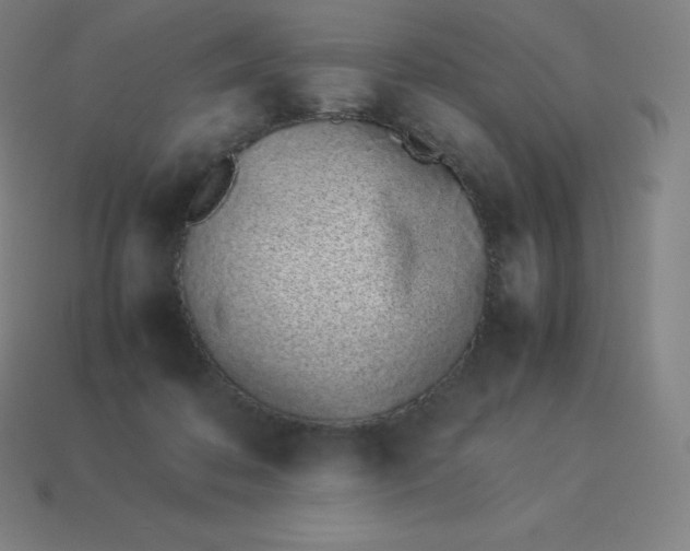 X0000113910316200910081855