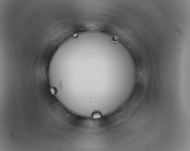 X0000113910317200910081855