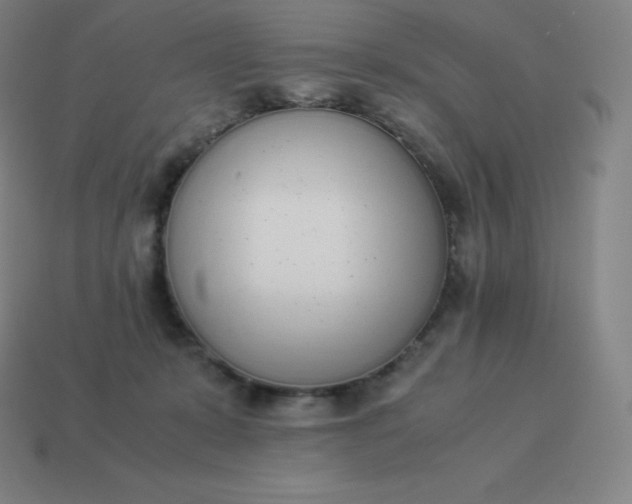 X0000113910319200910081855