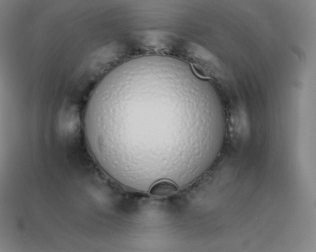 X0000113910320200910081855