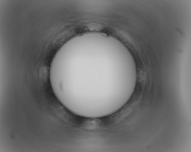 X0000113910321200910081855