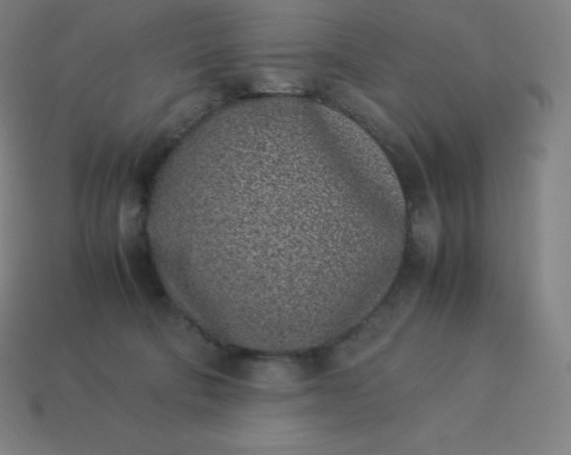 X0000113910322200910081855