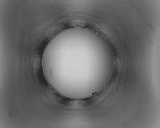 X0000113910323200910081855