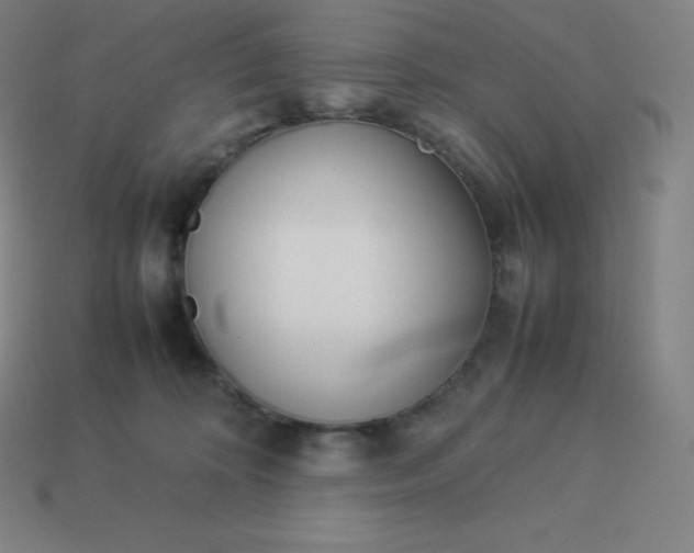 X0000113910324200910081855