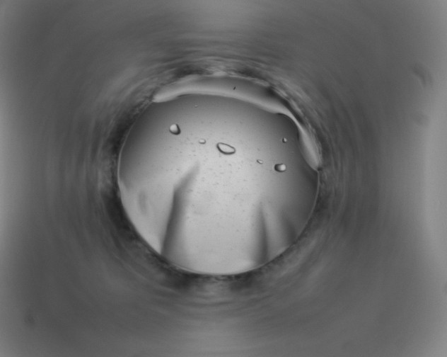 X0000113910325200910081855