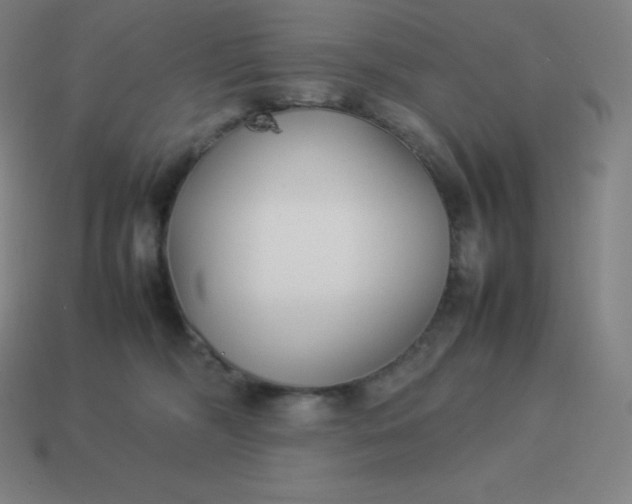 X0000113910326200910081855