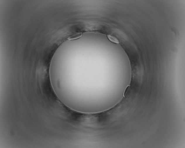 X0000113910327200910081855