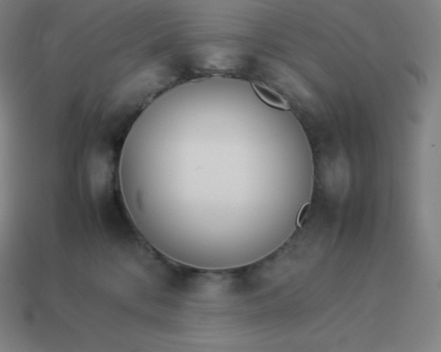 X0000113910328200910081855