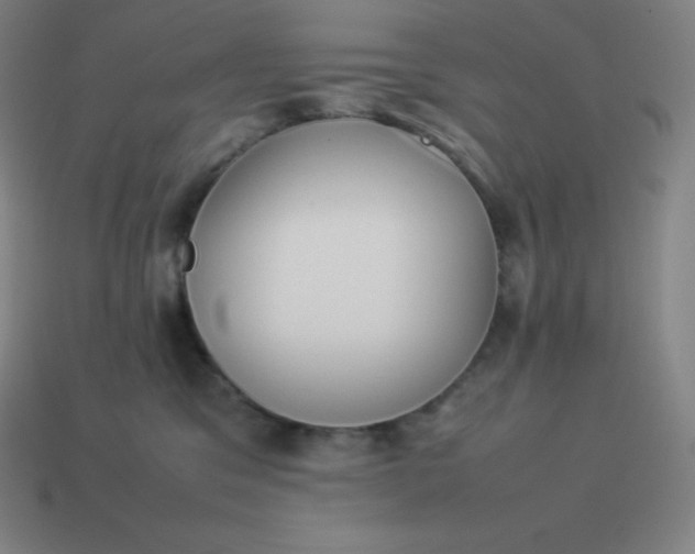 X0000113910329200910081855