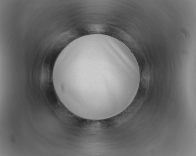 X0000113910330200910081855