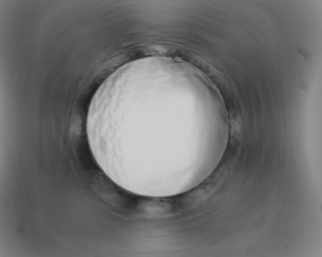 X0000113910331200910081855