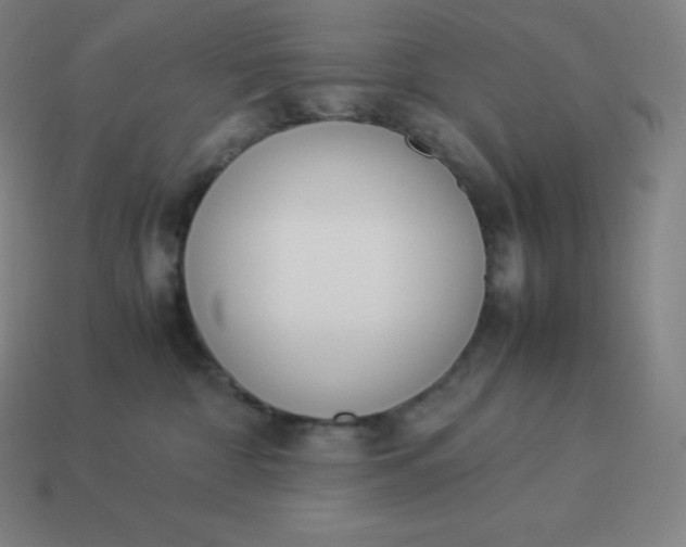 X0000113910332200910081855