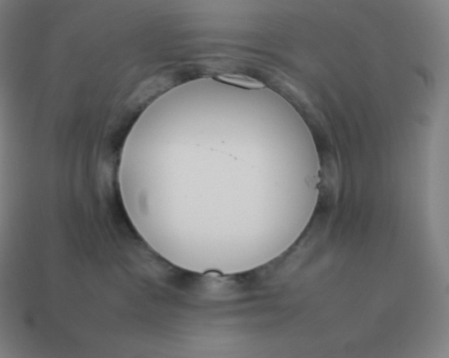 X0000113910333200910081855