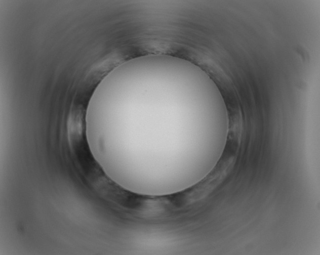 X0000113910334200910081855