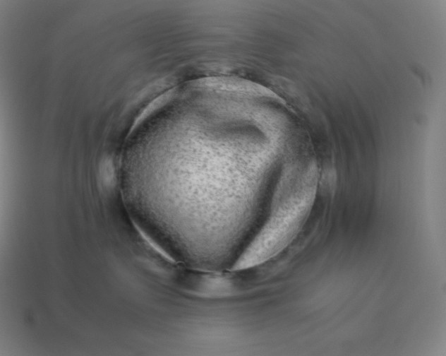 X0000113910335200910081855