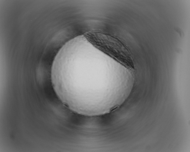 X0000113910336200910081855