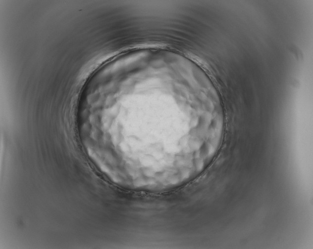 X0000113910337200910081854