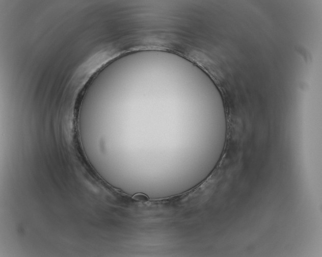 X0000113910338200910081854