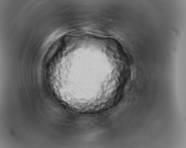 X0000113910339200910081854