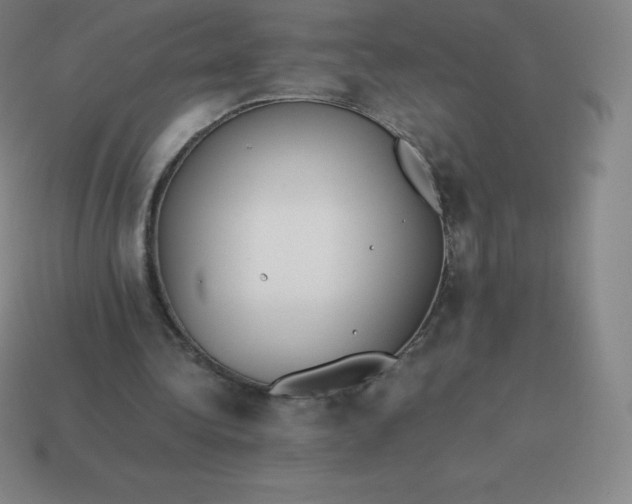 X0000113910340200910081854