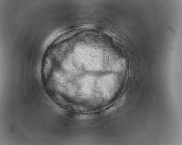 X0000113910341200910081854