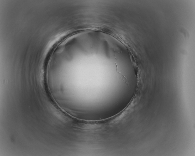 X0000113910342200910081854