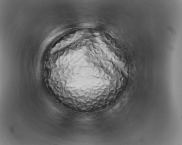 X0000113910343200910081854