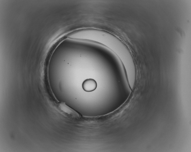 X0000113910344200910081854