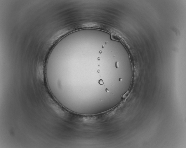 X0000113910345200910081854