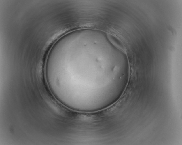 X0000113910346200910081854