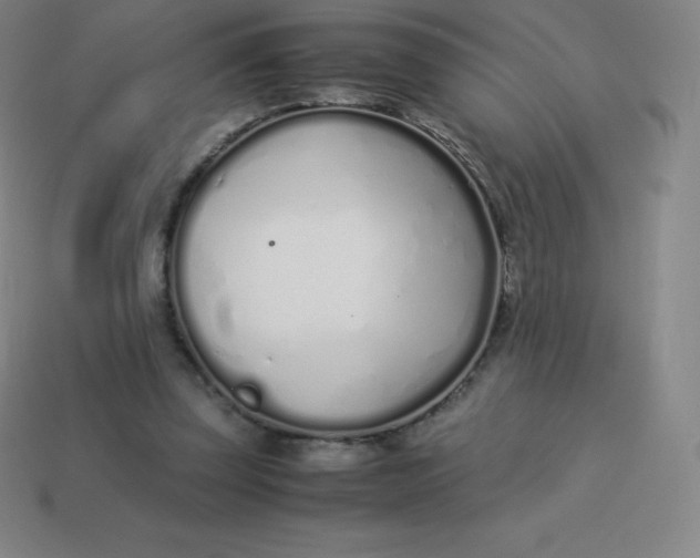 X0000113910347200910081854