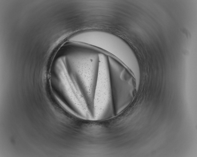 X0000113910348200910081854