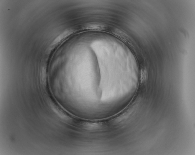 X0000113910349200910081854