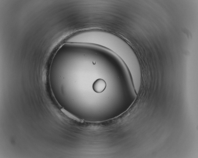 X0000113910350200910081854