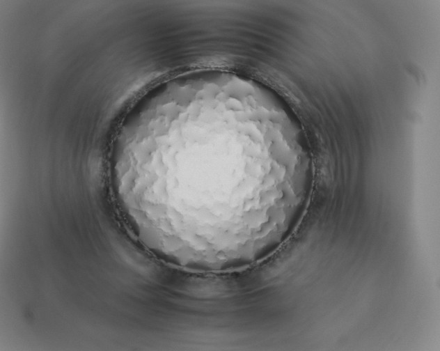 X0000113910351200910081854