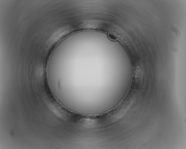 X0000113910352200910081854