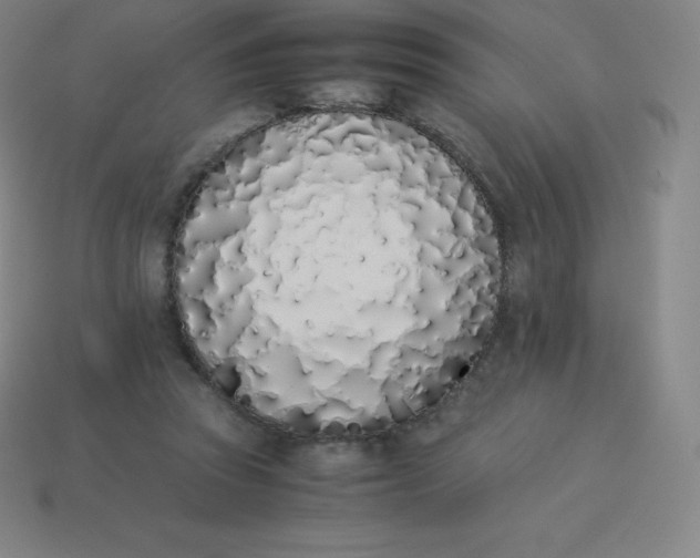 X0000113910353200910081854