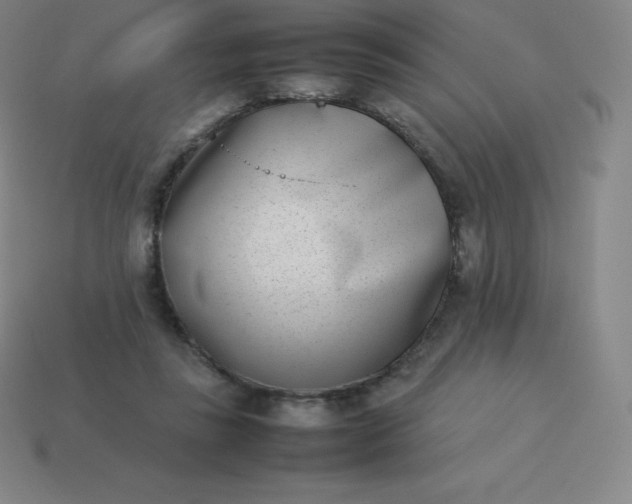 X0000113910355200910081855