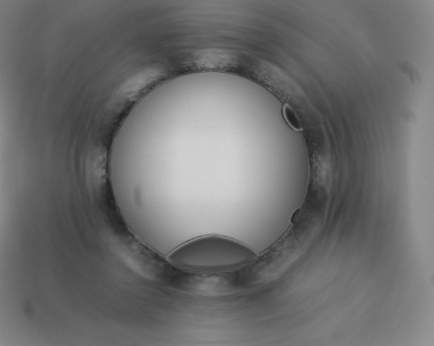 X0000113910356200910081855