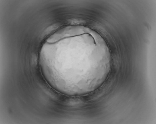 X0000113910357200910081855