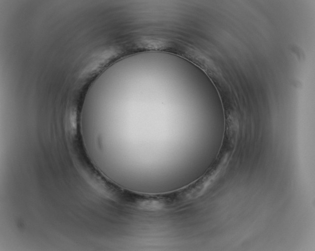 X0000113910358200910081855