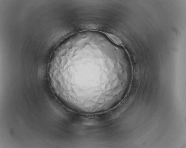 X0000113910359200910081855