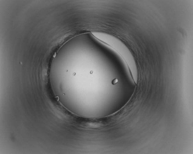 X0000113910360200910081855