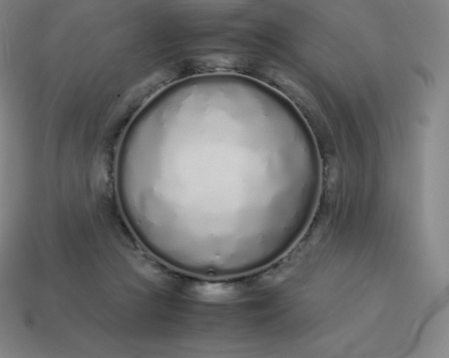 X0000113910361200910081855