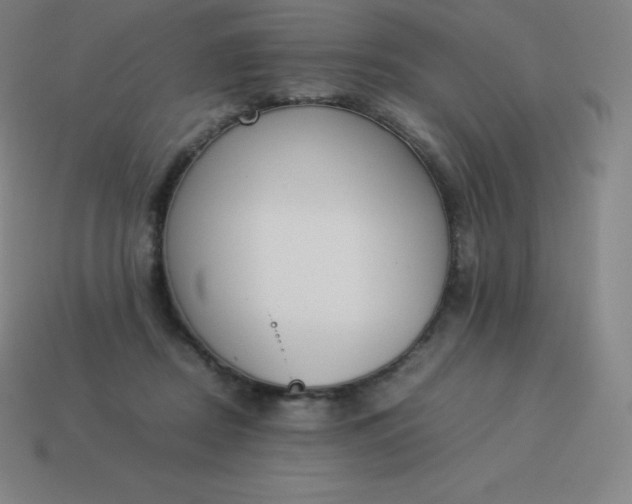 X0000113910362200910081855