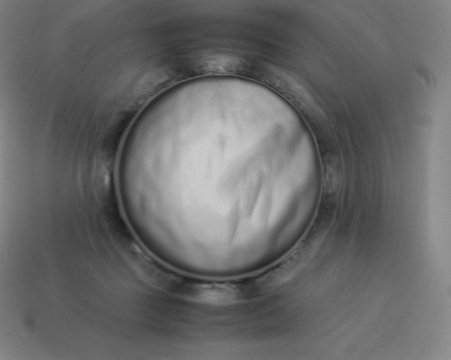 X0000113910363200910081855