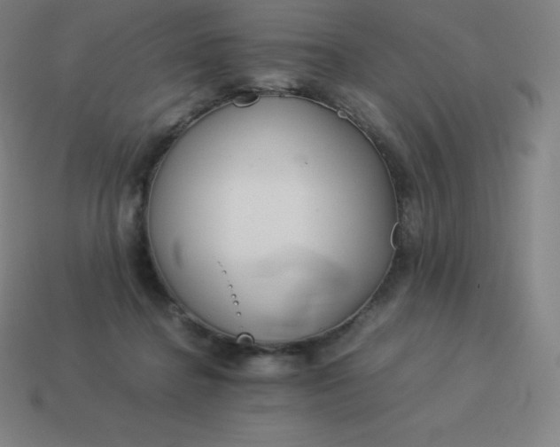 X0000113910364200910081855