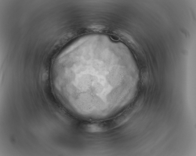 X0000113910365200910081855