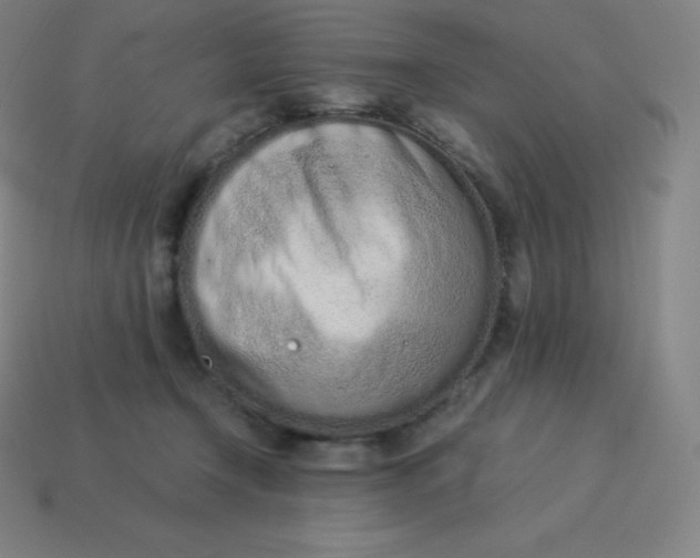 X0000113910366200910081855