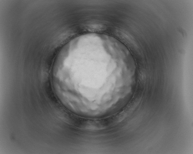 X0000113910367200910081855